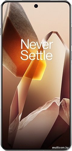 Смартфон OnePlus 13 16GB/512GB китайская версия (белый)