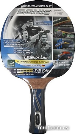 Ракетка для настольного тенниса Donic-Schildkrot Legends 5000 754439