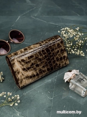 Кошелек Cedar 76110-PT (коричневый)