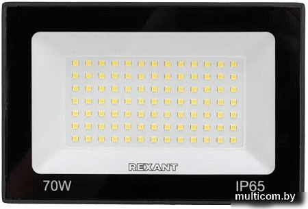 Уличный прожектор Rexant СДО 605-037