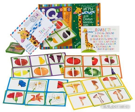 Развивающая игра Айрис-Пресс IQ Лото. Что в корзинке? Найди половинку 27215