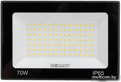 Уличный прожектор Rexant СДО 605-037