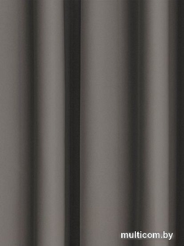 Комплект штор Pasionaria Блэквуд 400x240 (темно-серый)