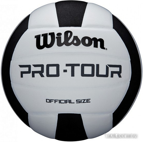 Волейбольный мяч Wilson Pro Tour Vb WTH20119X (5 размер, белый/черный)
