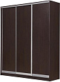 Шкаф-купе Рэйгрупп 176450 VVX Elgon РГ-09.03 (венге/хром)