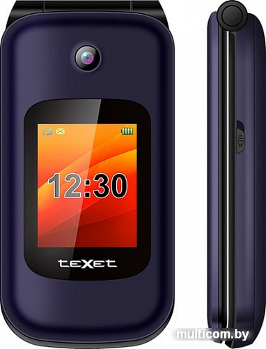 Мобильный телефон TeXet TM-B202 (синий)
