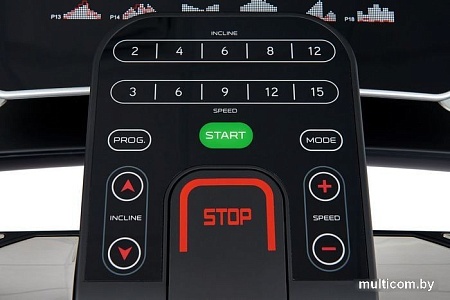 Электрическая беговая дорожка Titanium Masters Physiotech TLF