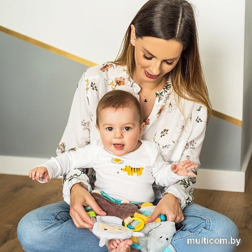Погремушка BabyOno Flat Mouse Kirstin 445