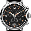 Наручные часы Timex TW2V43700