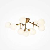 Припотолочная люстра Maytoni Dallas MOD545CL-12BS