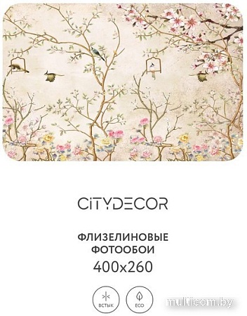 Фотообои Citydecor Абстракция 60 400x260