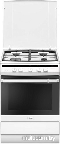 Кухонная плита Hansa FCGW64022