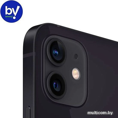 Смартфон Apple iPhone 12 256GB Воcстановленный by Breezy, грейд B (черный)