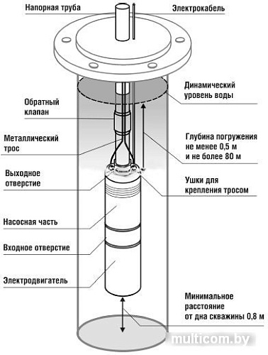 Скважинный насос Belamos TF-150