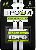 Аккумуляторы Трофи AA 2500mAh 2 шт.