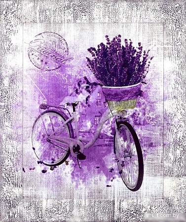 Картина Декарт 8Л3809