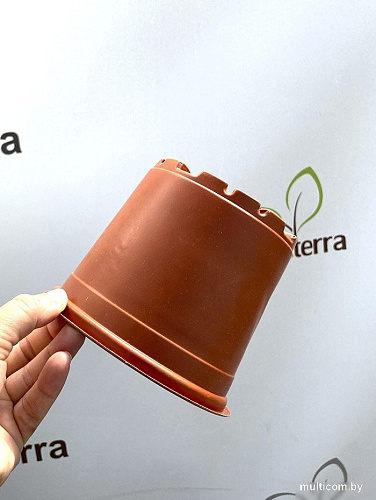 Кассета/горшок для рассады GreenTerra 13x10.5 см (1 л, 100 шт)