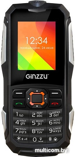 Мобильный телефон Ginzzu R50 (черный)