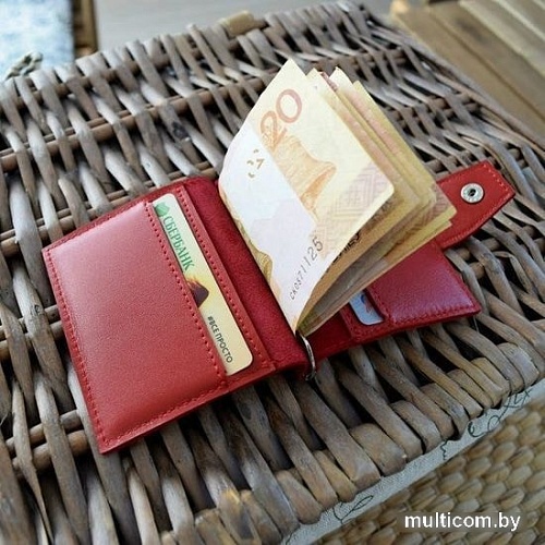 Зажим для денег EZcase Mini C17.4 (красный)