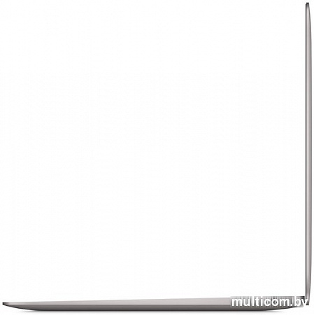 Ноутбук Apple MacBook Air 13" 2019 MVFH2