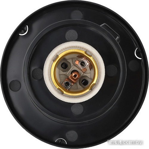 Садовый светильник ЭРА НТУ 02-60-203 Б0048061