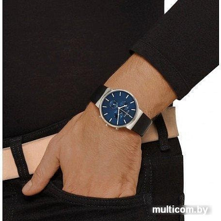 Наручные часы Skagen SKW6105