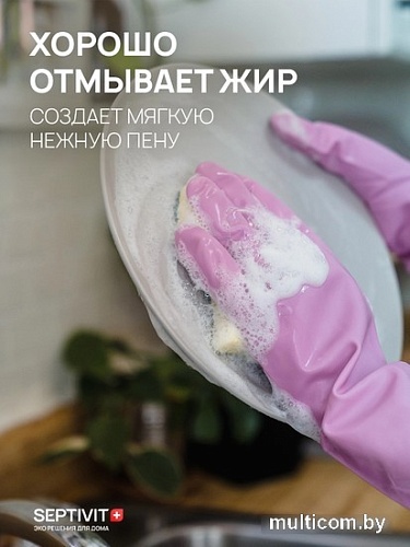 Средство для мытья посуды Septivit Альпийская Мята (5 л)