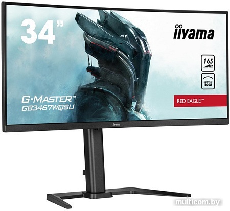 Игровой монитор Iiyama G-Master Red Eagle GB3467WQSU-B5