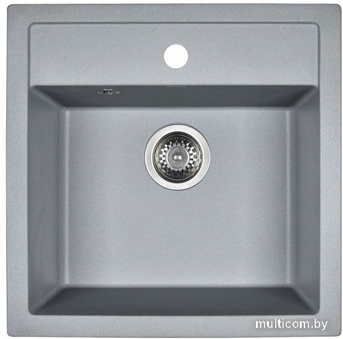 Кухонная мойка Wisent 510-29W (с сифоном GER013)