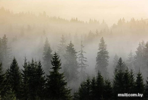 Фотообои Vimala Лес в тумане 8 270x400