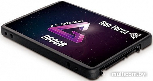 SSD Neo Forza Zion NFS01 960GB NFS011SA396-6007200