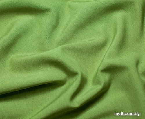 Комплект штор и гардин Pasionaria Кирстен 480x230 (3 шт, зеленый/серый)