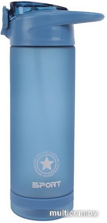 Бутылка для воды Darvish DV-H-1605-1 750мл (синий)