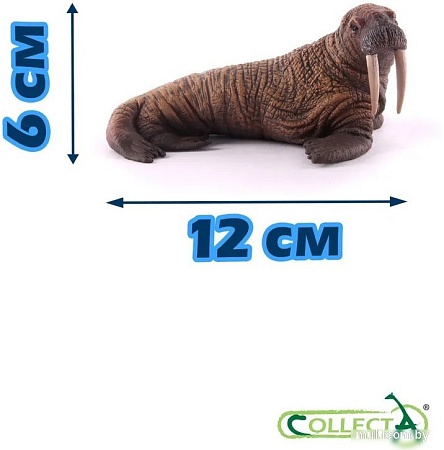Фигурка Collecta Морж 88569b
