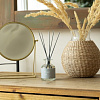 Аромадиффузор Arida Home Hygge №16 Бамбуковая роща (100 мл)