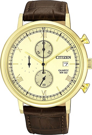 Наручные часы CITIZEN AN3612-09P
