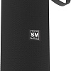 Беспроводная колонка Soundmax SM-PS5015B (черный)