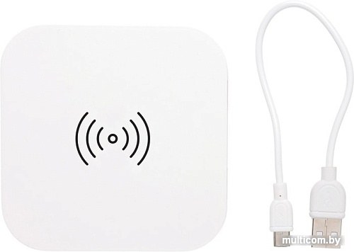 Беспроводное зарядное XD Collection P308.923