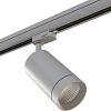 Трековый светильник Lightstar Canno 303594
