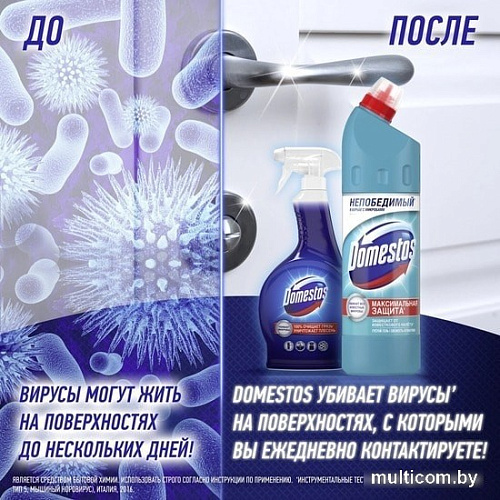 Универсальное средство Domestos Свежесть атлантики 750 мл