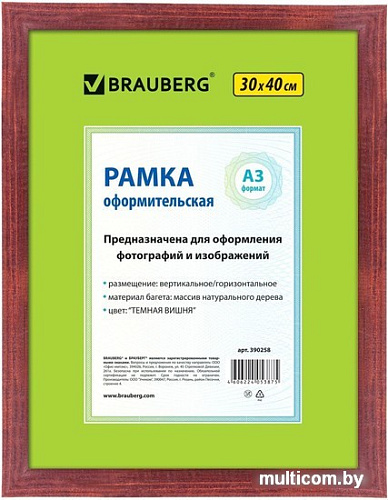 Фоторамка BRAUBERG Hit 390258