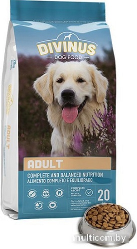 Сухой корм для собак Divinus Adult 20 кг