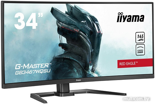 Игровой монитор Iiyama G-Master Red Eagle GB3467WQSU-B5
