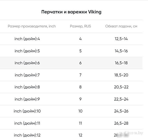 Горнолыжные перчатки Viking Devon Ski 110/22/6014-09 (р.7, черный)