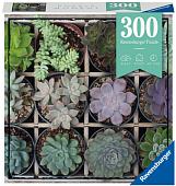 Пазл Ravensburger Суккуленты 12967 (300 эл)