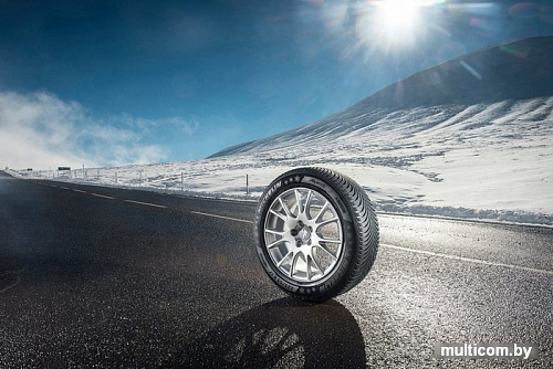 Автомобильные шины Michelin Alpin 5 295/35R20 105W