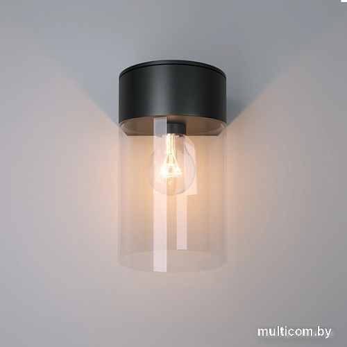 Уличный настенный светильник Elektrostandard Atrani 35085/D (черный)