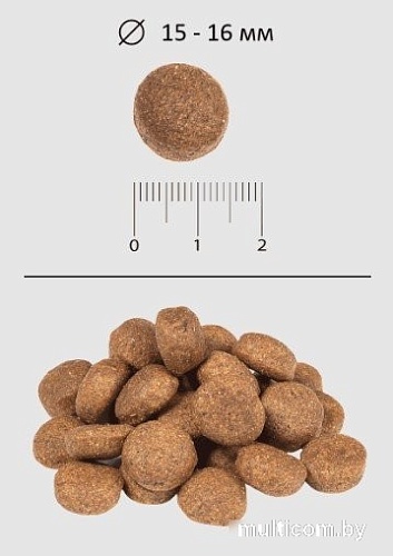 Blitz Pets Classic Adult Chicken & Rice 4152 (2 кг)