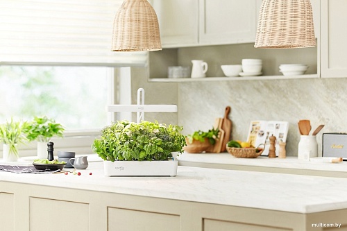 Умный сад CACTUS CS-LEDPOT-10