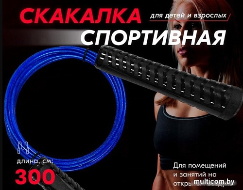 Скакалка Profitnesslab 13908 (3м, синий)